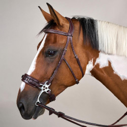 Brida Hackamore Colección US de Dy'on Marrón Marr&amp;amp;amp;oacute;n