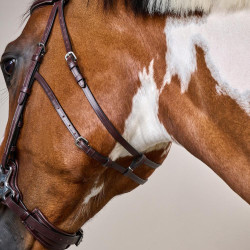 Brida Hackamore Colección US de Dy'on Marrón Marr&amp;amp;amp;oacute;n