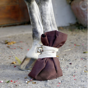 Bota cuidado para caballo Covalliero Bota cuidado para caballo Covalliero