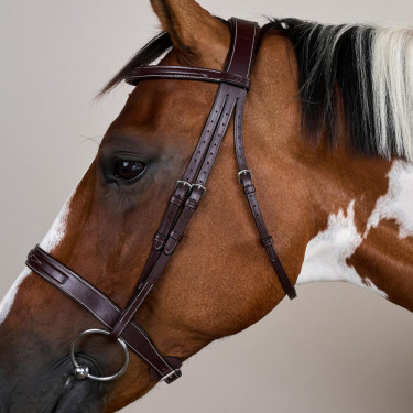 Brida Hunter Colección US por Dy'on Marrón Brida Hunter Colección US por Dy'on Marrón