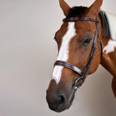 Brida Hunter Colección US por Dy'on Marrón Brida Hunter Colección US por Dy'on Marrón