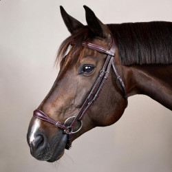 Brida Muserola Alemana Ajustable New English Collection by Dy'on Marrón