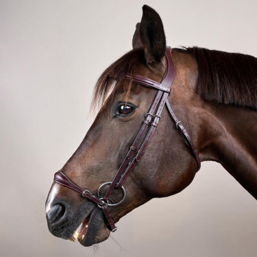 Brida Muserola Alemana Ajustable New English Collection by Dy'on Marrón