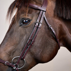 Brida Muserola Alemana Ajustable New English Collection by Dy'on Marrón