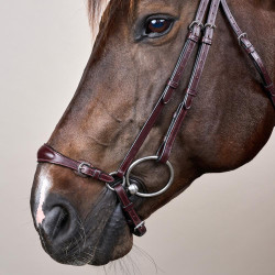 Brida Muserola Alemana Ajustable New English Collection by Dy'on Marrón