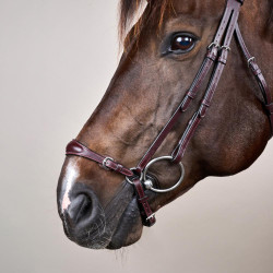 Brida Muserola Alemana Ajustable New English Collection by Dy'on Marrón