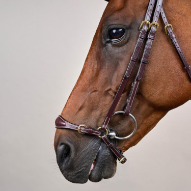 Brida Muserola Alemana Ajustable D Collection by Dy'on Marrón