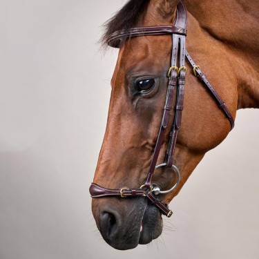 Brida Muserola Alemana Ajustable D Collection by Dy'on Marrón