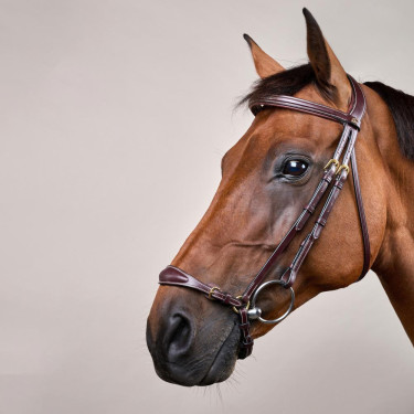 Brida Muserola Alemana Ajustable D Collection by Dy'on Marrón