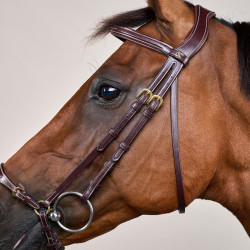 Brida Muserola Alemana Ajustable D Collection by Dy'on Marrón