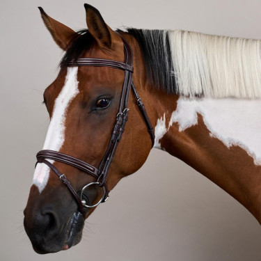 Brida Muserola Combinada Colección US de Dy'on Marrón