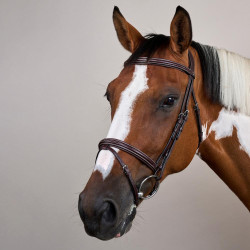 Brida Muserola Combinada Colección US de Dy'on Marrón