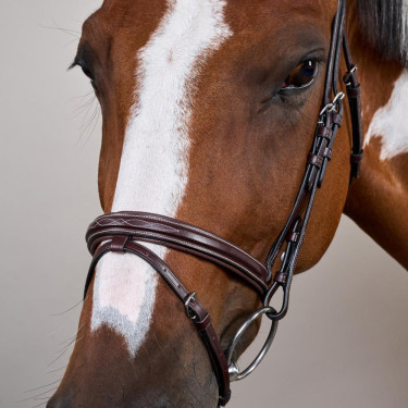 Brida Muserola Combinada Colección US de Dy'on Marrón