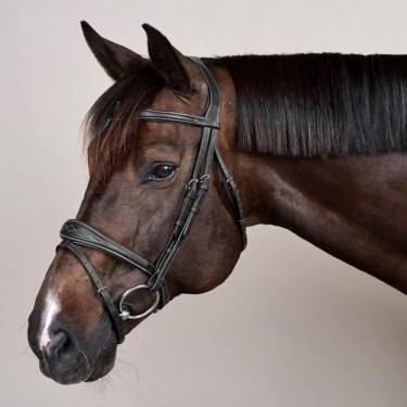 Brida Muserola Combinada Anatómica Colección US de Dy'on Negro Brida Muserola Combinada Anatómica Colección US de Dy'on Negro