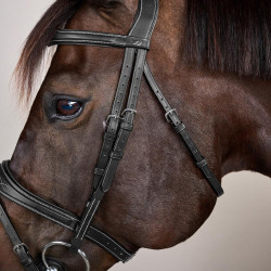 Brida Muserola Combinada Anatómica Colección US de Dy'on Negro Brida Muserola Combinada Anatómica Colección US de Dy'on Negro