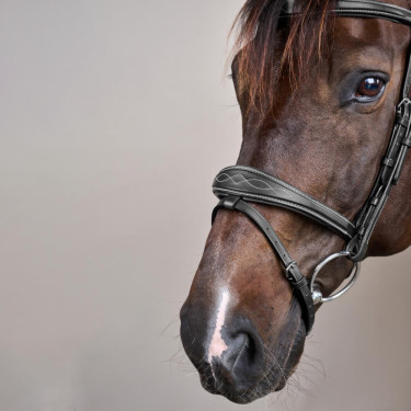 Brida Muserola Combinada Anatómica Colección US de Dy'on Negro Brida Muserola Combinada Anatómica Colección US de Dy'on Negro