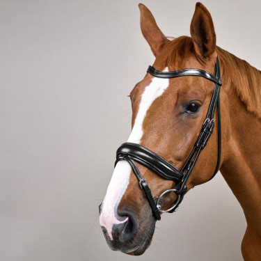 Brida Muserola Combinada Ancha Working By Dy'on Negro Brida Muserola Combinada Ancha Working By Dy'on Negro