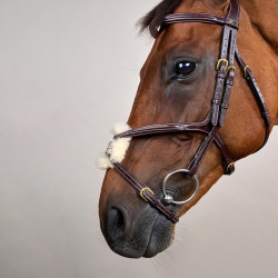 Brida Muserola Cruzada D Collection de Dy'on Marrón Brida Muserola Cruzada D Collection de Dy'on Marrón