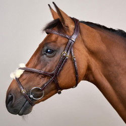 Brida Muserola Cruzada D Collection de Dy'on Marrón Brida Muserola Cruzada D Collection de Dy'on Marrón