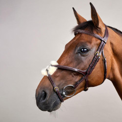 Brida Muserola Cruzada D Collection de Dy'on Marrón Brida Muserola Cruzada D Collection de Dy'on Marrón