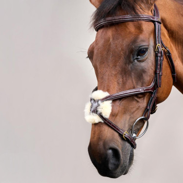 Brida Muserola Cruzada D Collection de Dy'on Marrón Brida Muserola Cruzada D Collection de Dy'on Marrón