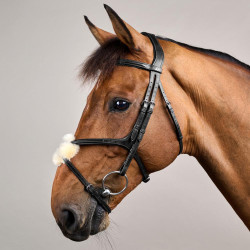 Brida Muserola Cruzada New English Collection by Dy'on Negro