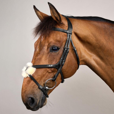 Brida Muserola Cruzada New English Collection by Dy'on Negro