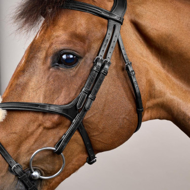 Brida Muserola Cruzada New English Collection by Dy'on Negro