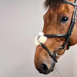 Brida Muserola Cruzada New English Collection by Dy'on Negro