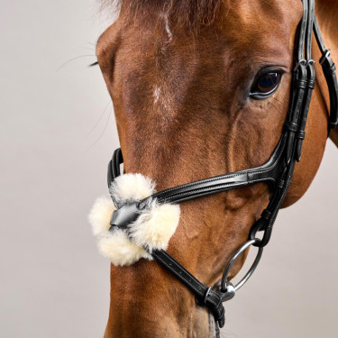 Brida Muserola Cruzada New English Collection by Dy'on Negro