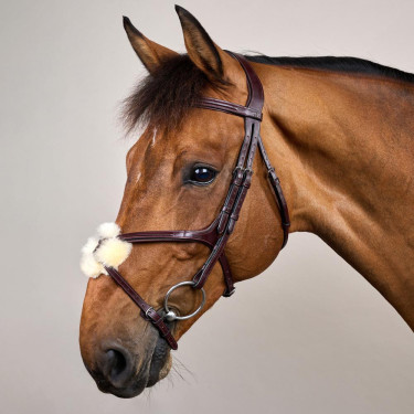 Brida Muserola Cruzada New English Collection by Dy'on Marrón Marrón Brida Muserola Cruzada New English Collection by Dy'on Marrón Marrón