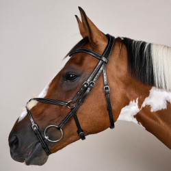 Brida Muserola Cruzada Working By Dy'on Negro