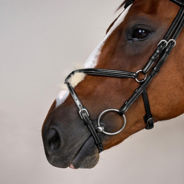 Brida Muserola Cruzada Working By Dy'on Negro