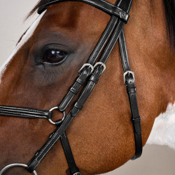 Brida Muserola Cruzada Working By Dy'on Negro