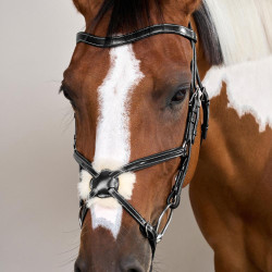 Brida Muserola Cruzada Working By Dy'on Negro