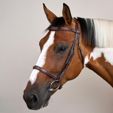 Brida Muserola Francesa Colección US por Dy'on Marrón