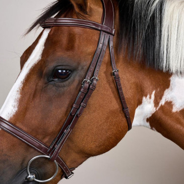 Brida Muserola Francesa Colección US por Dy'on Marrón