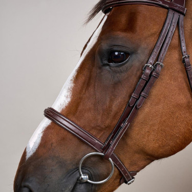 Brida Muserola Francesa Colección US por Dy'on Marrón