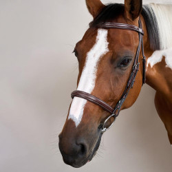 Brida Muserola Francesa Colección US por Dy'on Marrón