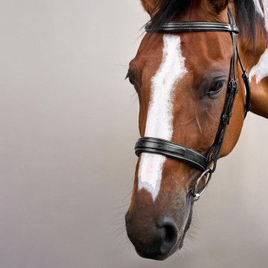 Brida Muserola Ancha Hunter Colección US de Dy'on Negro Brida Muserola Ancha Hunter Colección US de Dy'on Negro