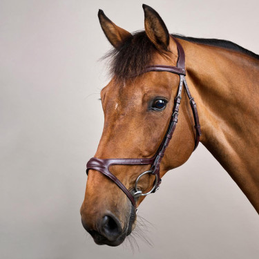 Brida X-Fit New English Collection de Dy'on Marrón Marrón Brida X-Fit New English Collection de Dy'on Marrón Marrón