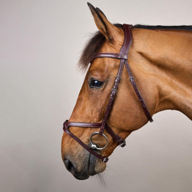 Brida X-Fit New English Collection de Dy'on Marrón Marrón Brida X-Fit New English Collection de Dy'on Marrón Marrón