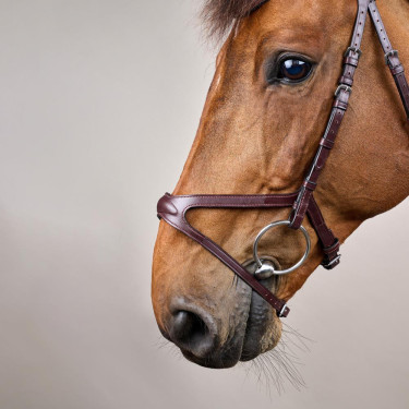 Brida X-Fit New English Collection de Dy'on Marrón Marrón Brida X-Fit New English Collection de Dy'on Marrón Marrón