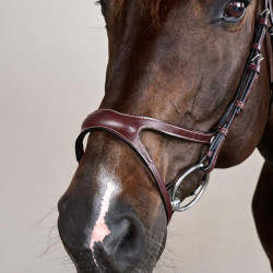 Brida X-Fit Colección US de Dy'on Marrón Brida X-Fit Colección US de Dy'on Marrón