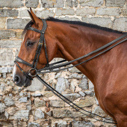 Riendas alemanas Full Leather 1/2 D Collection by Dy'on Negro