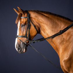 Riendas alemanas de cuero/nylon 5/8 New English Collection by Dy'on Negro