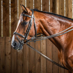 Rienda alemana Hunter 1/2 Working By Dy'on Negro