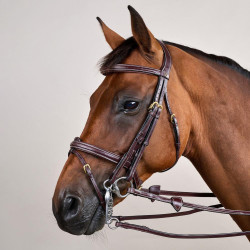 Brida Muserola Combinada D Collection by Dy'on Marrón