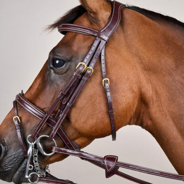 Brida Muserola Combinada D Collection by Dy'on Marrón