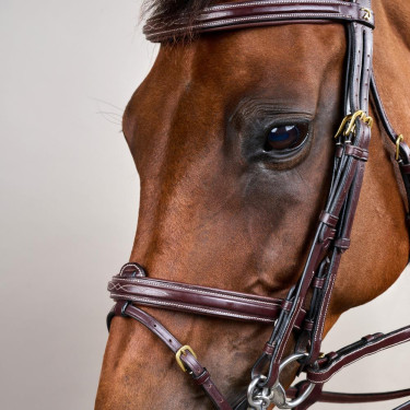 Brida Muserola Combinada D Collection by Dy'on Marrón